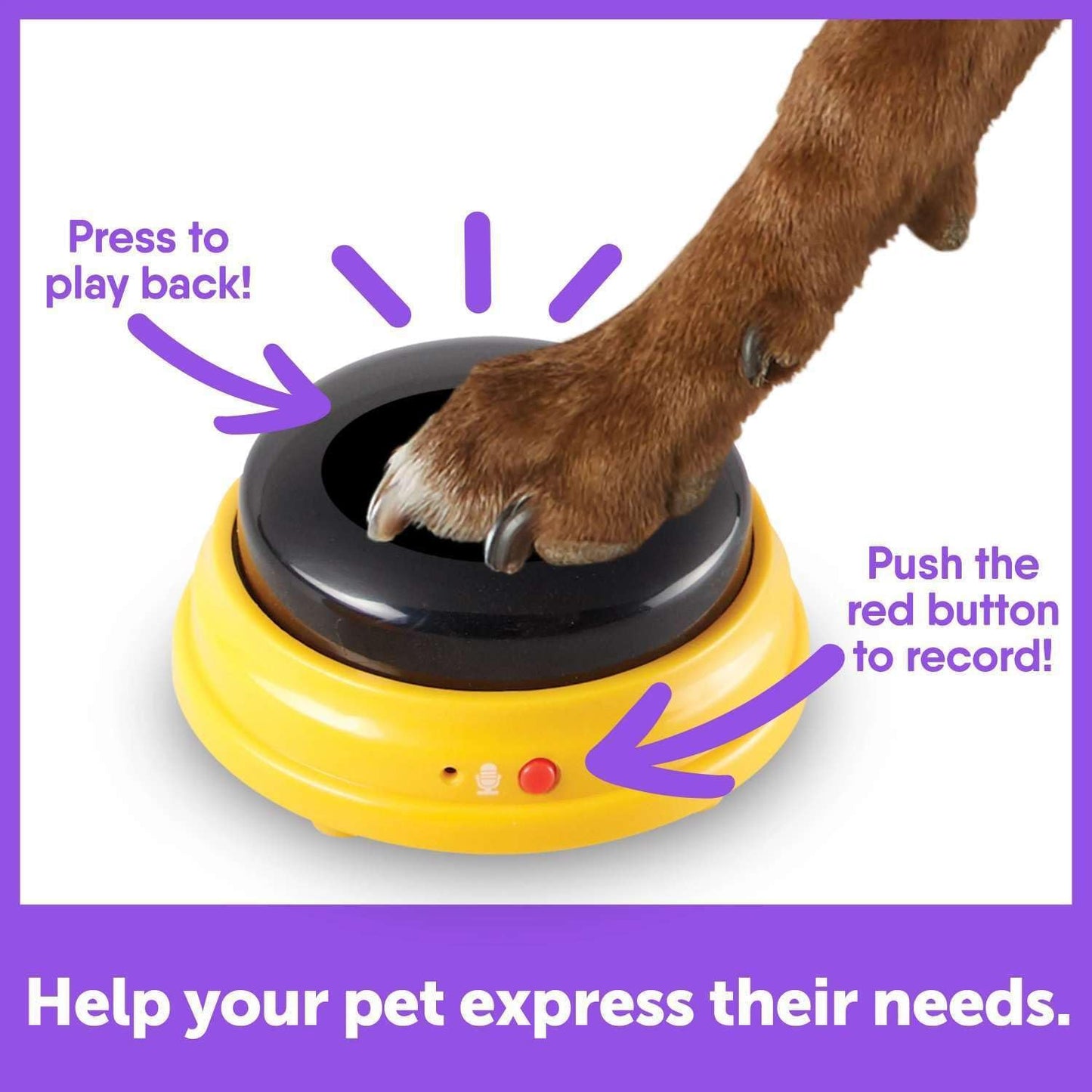 Talking Pet Next Words Names Button Set (3 Pieces)